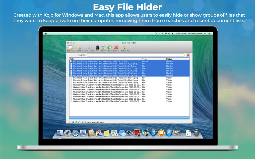 Easy File Hider