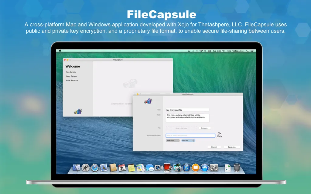 FileCapsule